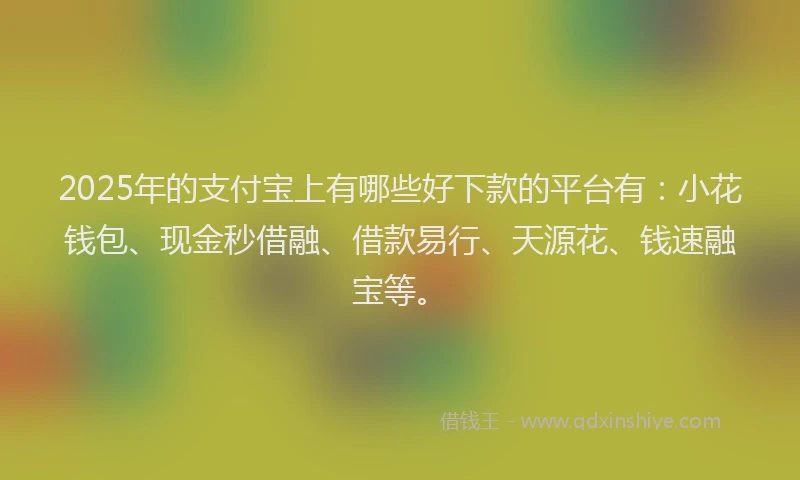 2025年的支付宝上有哪些好下款的平台有：小花钱包、现金秒借融、借款易行、天源花、钱速融宝等。