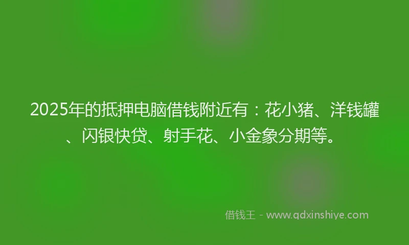 2025年的抵押电脑借钱附近有：花小猪、洋钱罐、闪银快贷、射手花、小金象分期等。