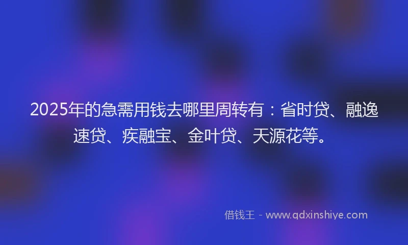 2025年的急需用钱去哪里周转有：省时贷、融逸速贷、疾融宝、金叶贷、天源花等。