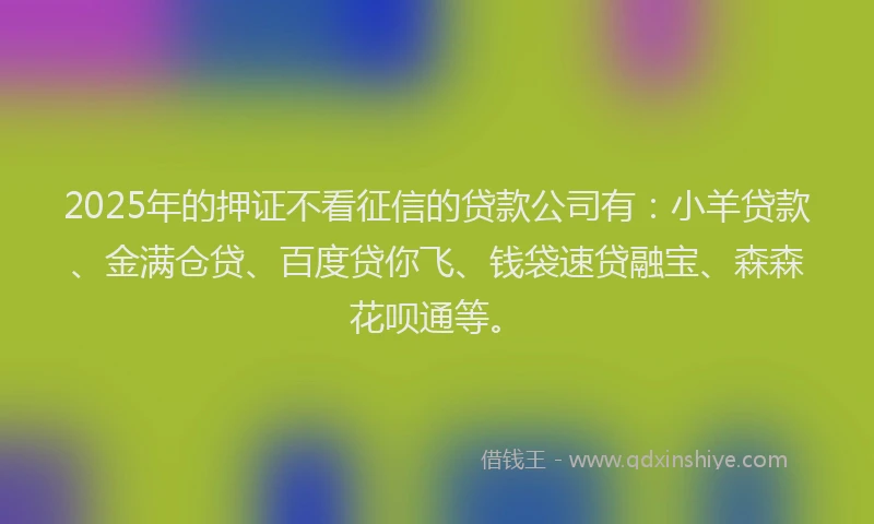 2025年的押证不看征信的贷款公司有：小羊贷款、金满仓贷、百度贷你飞、钱袋速贷融宝、森森花呗通等。