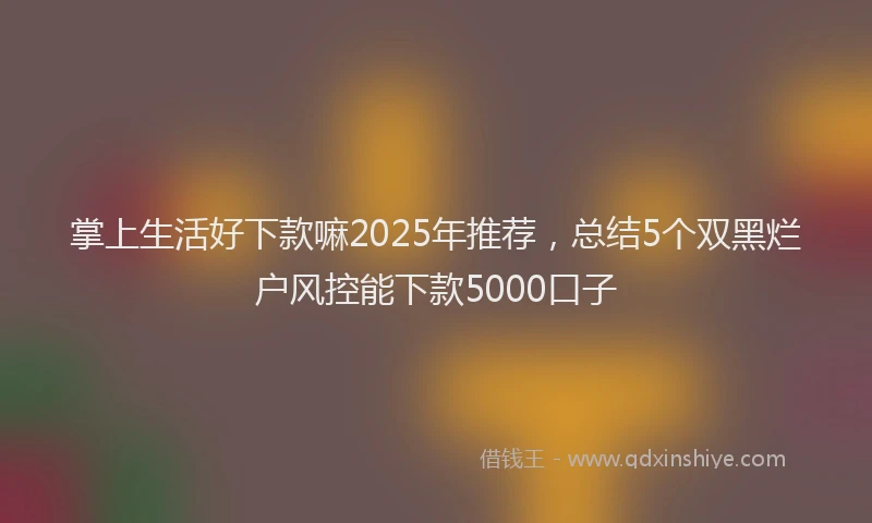 掌上生活好下款嘛2025年推荐，总结5个双黑烂户风控能下款5000口子