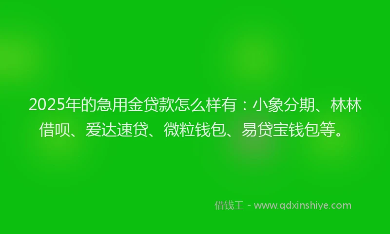 2025年的急用金贷款怎么样有：小象分期、林林借呗、爱达速贷、微粒钱包、易贷宝钱包等。