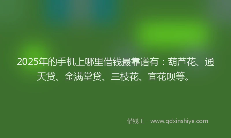 2025年的手机上哪里借钱最靠谱有：葫芦花、通天贷、金满堂贷、三枝花、宜花呗等。