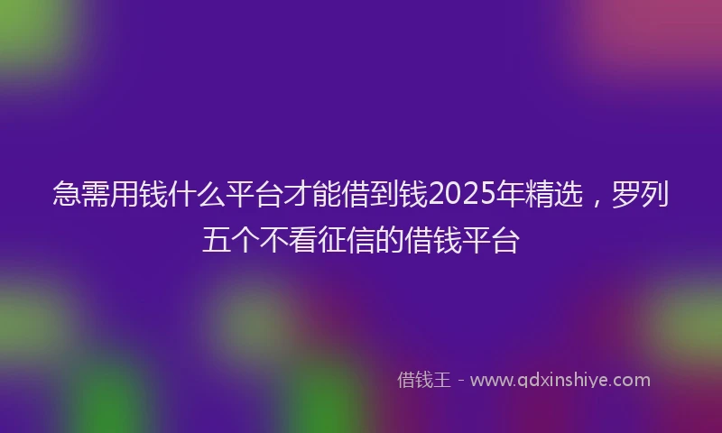 急需用钱什么平台才能借到钱2025年精选，罗列五个不看征信的借钱平台