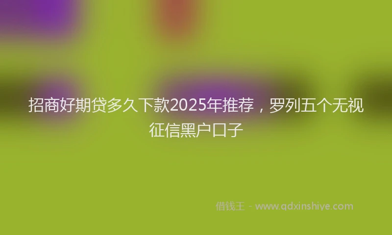 招商好期贷多久下款2025年推荐，罗列五个无视征信黑户口子