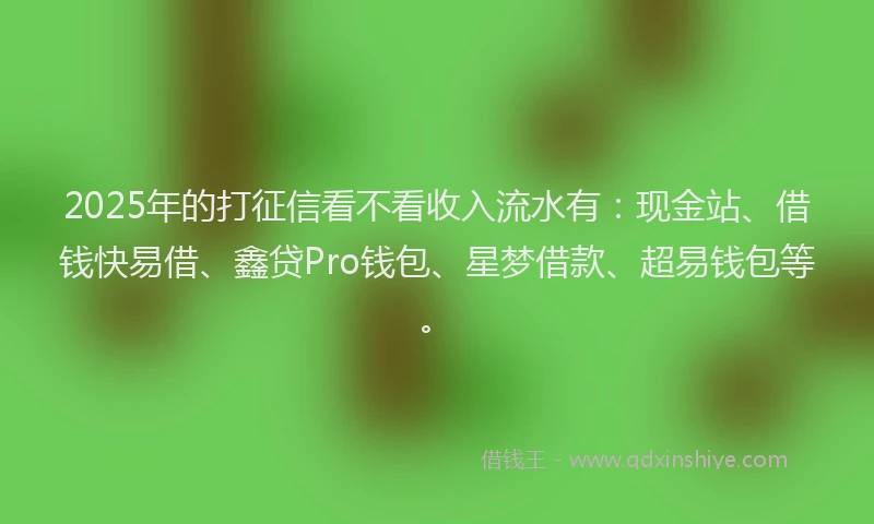 2025年的打征信看不看收入流水有：现金站、借钱快易借、鑫贷Pro钱包、星梦借款、超易钱包等。