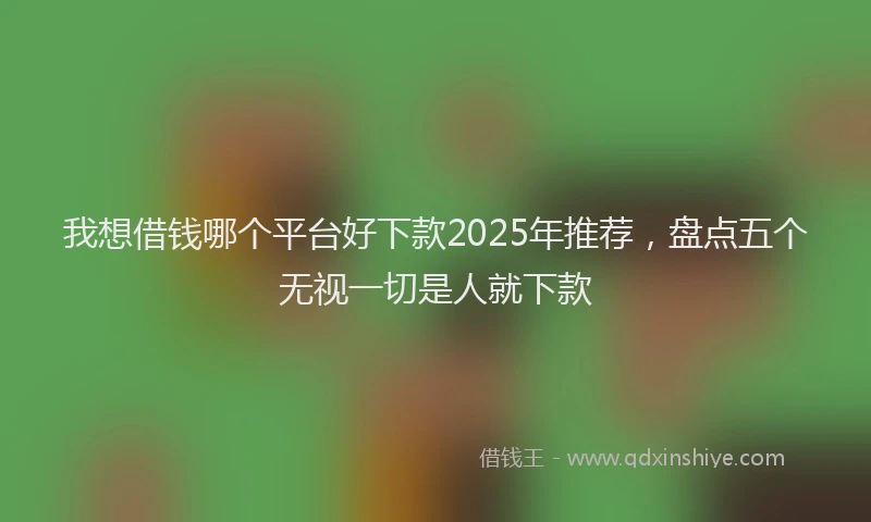 我想借钱哪个平台好下款2025年推荐，盘点五个无视一切是人就下款