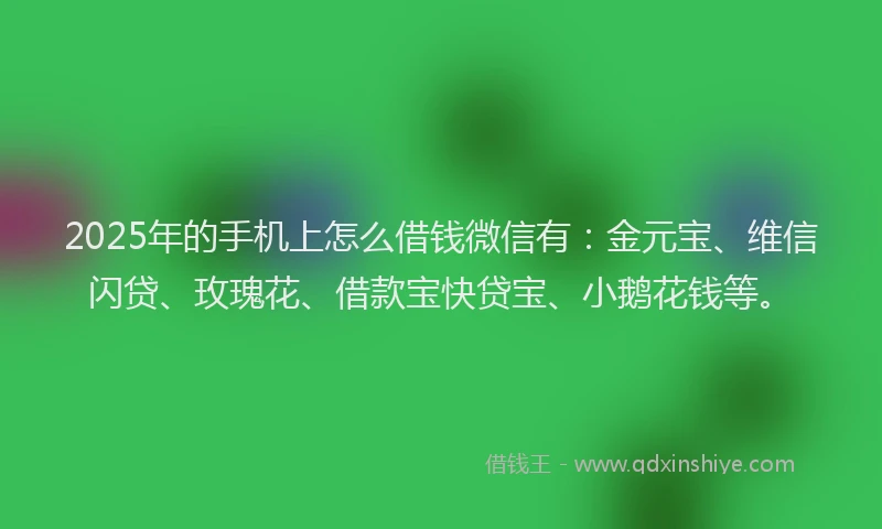 2025年的手机上怎么借钱微信有：金元宝、维信闪贷、玫瑰花、借款宝快贷宝、小鹅花钱等。