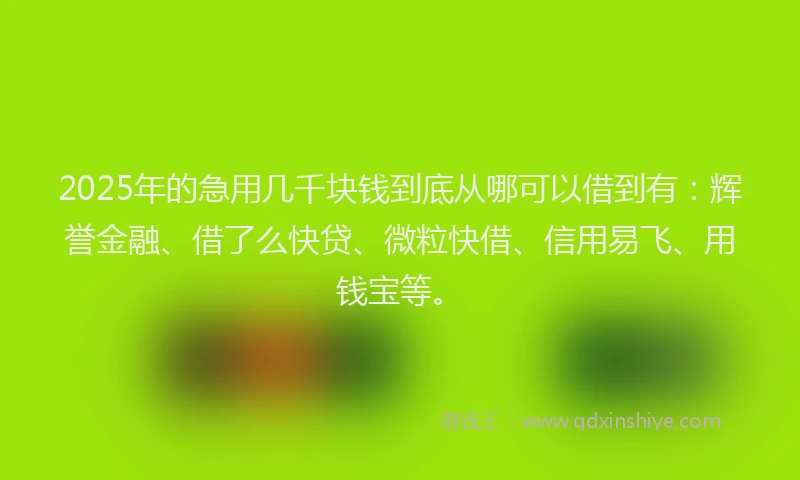 2025年的急用几千块钱到底从哪可以借到有：辉誉金融、借了么快贷、微粒快借、信用易飞、用钱宝等。