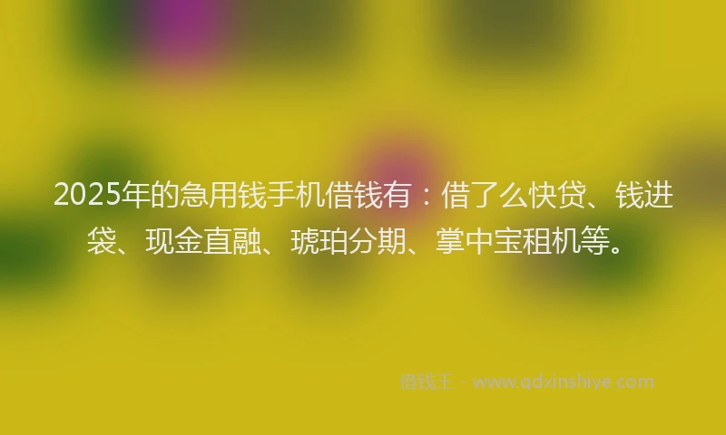 2025年的急用钱手机借钱有：借了么快贷、钱进袋、现金直融、琥珀分期、掌中宝租机等。
