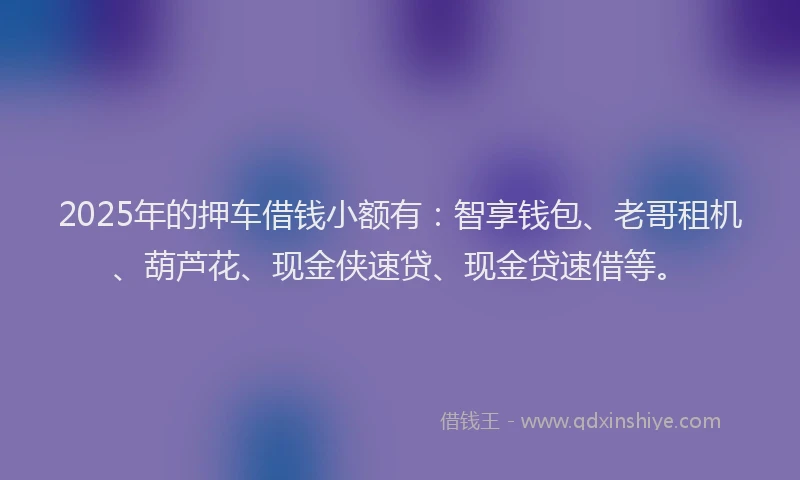 2025年的押车借钱小额有：智享钱包、老哥租机、葫芦花、现金侠速贷、现金贷速借等。