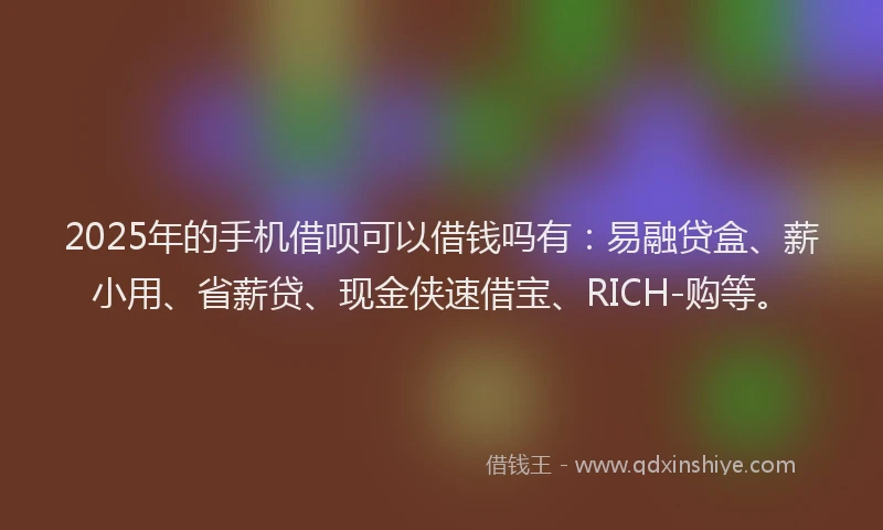 2025年的手机借呗可以借钱吗有：易融贷盒、薪小用、省薪贷、现金侠速借宝、RICH-购等。
