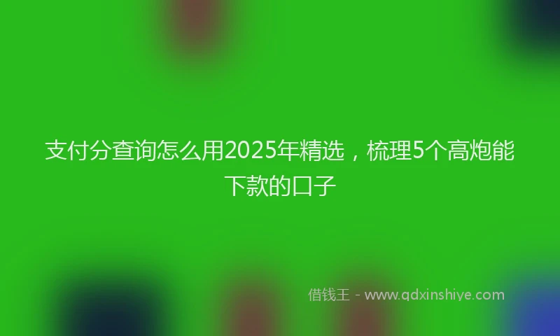 支付分查询怎么用2025年精选，梳理5个高炮能下款的口子