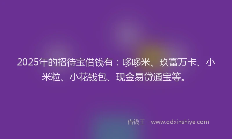 2025年的招待宝借钱有：哆哆米、玖富万卡、小米粒、小花钱包、现金易贷通宝等。