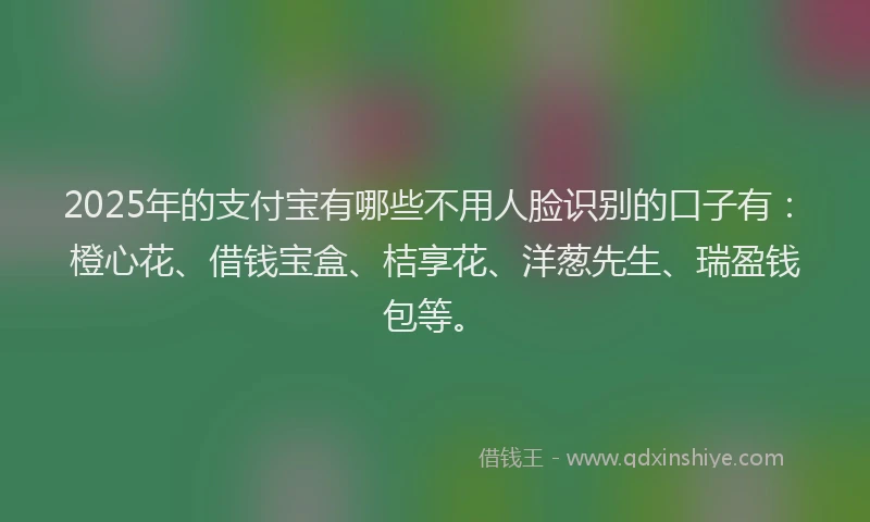 2025年的支付宝有哪些不用人脸识别的口子有：橙心花、借钱宝盒、桔享花、洋葱先生、瑞盈钱包等。