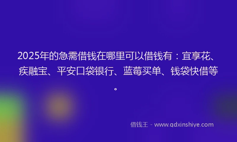 2025年的急需借钱在哪里可以借钱有：宜享花、疾融宝、平安口袋银行、蓝莓买单、钱袋快借等。