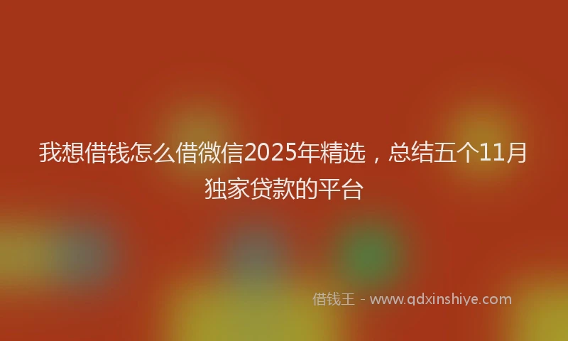 我想借钱怎么借微信2025年精选，总结五个11月独家贷款的平台