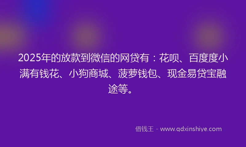 2025年的放款到微信的网贷有：花呗、百度度小满有钱花、小狗商城、菠萝钱包、现金易贷宝融途等。