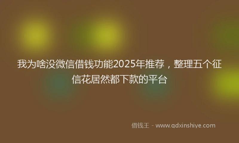 我为啥没微信借钱功能2025年推荐，整理五个征信花居然都下款的平台