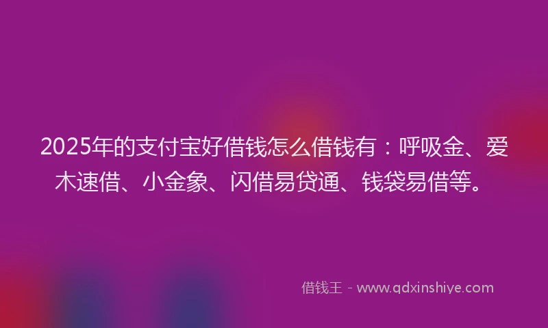 2025年的支付宝好借钱怎么借钱有：呼吸金、爱木速借、小金象、闪借易贷通、钱袋易借等。