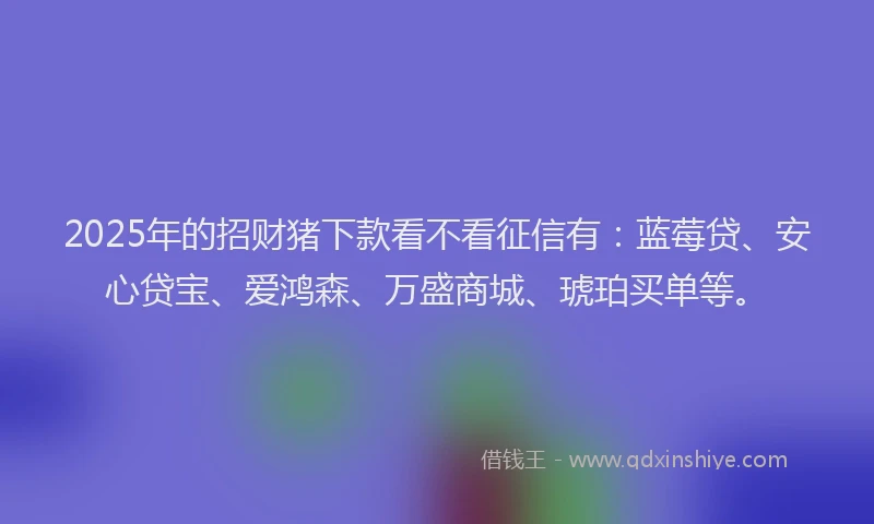 2025年的招财猪下款看不看征信有：蓝莓贷、安心贷宝、爱鸿森、万盛商城、琥珀买单等。