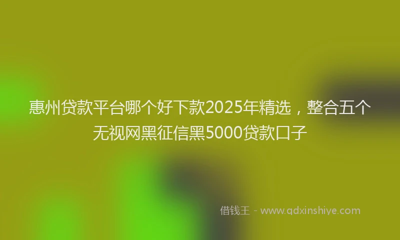 惠州贷款平台哪个好下款2025年精选，整合五个无视网黑征信黑5000贷款口子