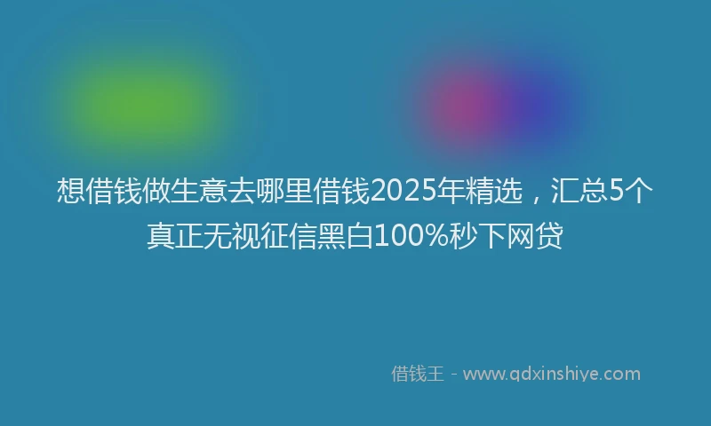 想借钱做生意去哪里借钱2025年精选，汇总5个真正无视征信黑白100%秒下网贷