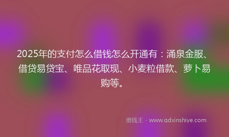 2025年的支付怎么借钱怎么开通有：涌泉金服、借贷易贷宝、唯品花取现、小麦粒借款、萝卜易购等。