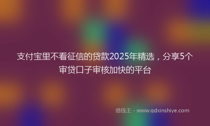 支付宝里不看征信的贷款2025年精选，分享5个审贷口子审核加快的平台
