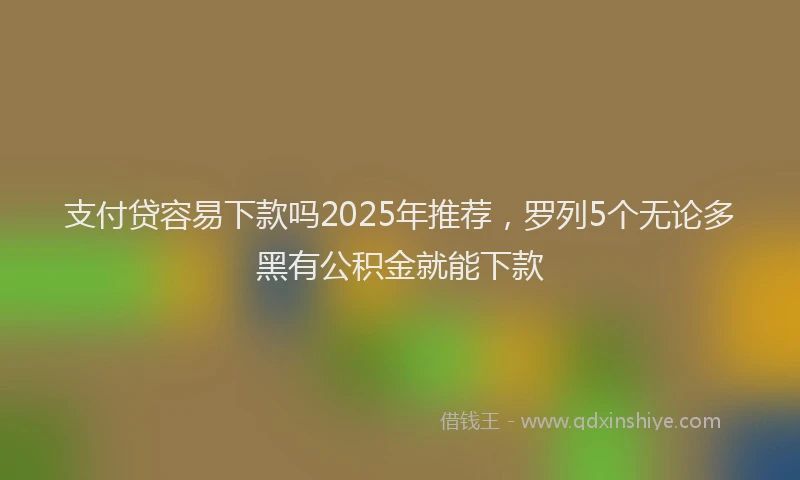 支付贷容易下款吗2025年推荐，罗列5个无论多黑有公积金就能下款