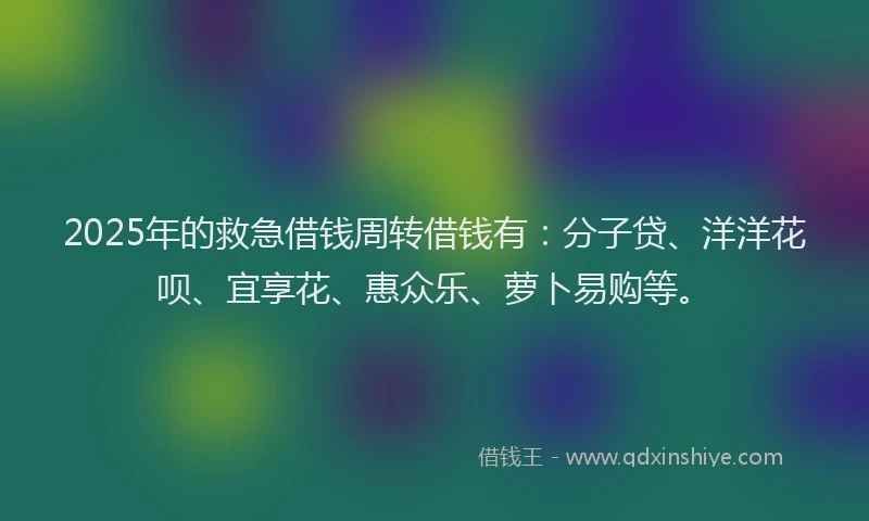 2025年的救急借钱周转借钱有：分子贷、洋洋花呗、宜享花、惠众乐、萝卜易购等。