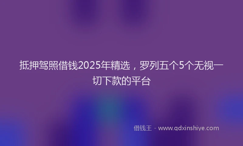 抵押驾照借钱2025年精选，罗列五个5个无视一切下款的平台