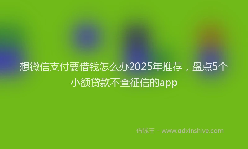 想微信支付要借钱怎么办2025年推荐，盘点5个小额贷款不查征信的app
