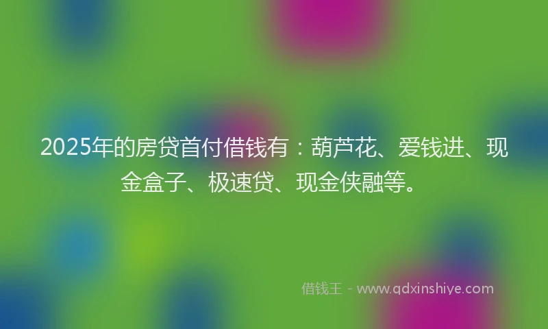 2025年的房贷首付借钱有：葫芦花、爱钱进、现金盒子、极速贷、现金侠融等。