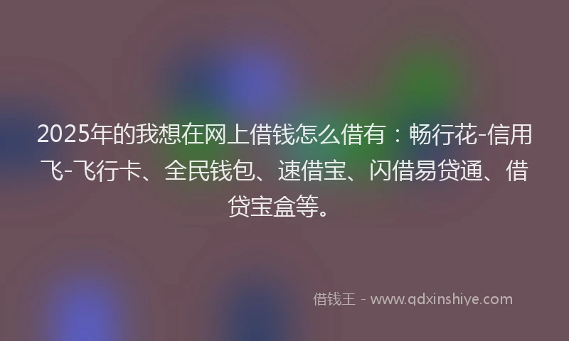 2025年的我想在网上借钱怎么借有：畅行花-信用飞-飞行卡、全民钱包、速借宝、闪借易贷通、借贷宝盒等。