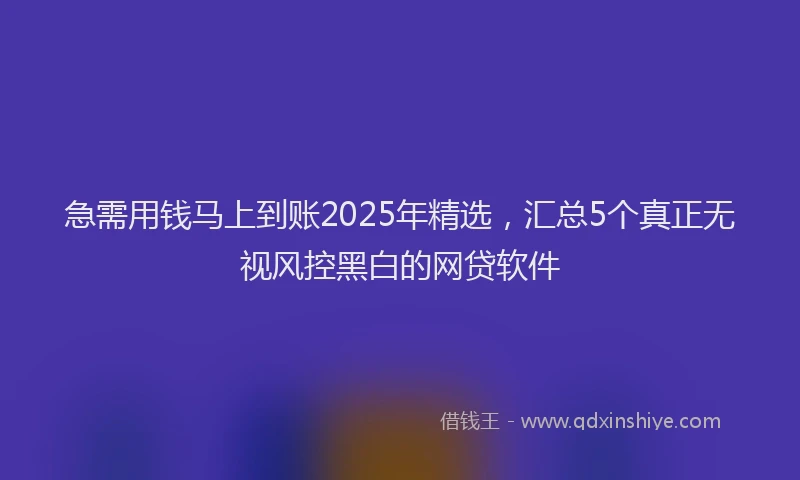 急需用钱马上到账2025年精选，汇总5个真正无视风控黑白的网贷软件