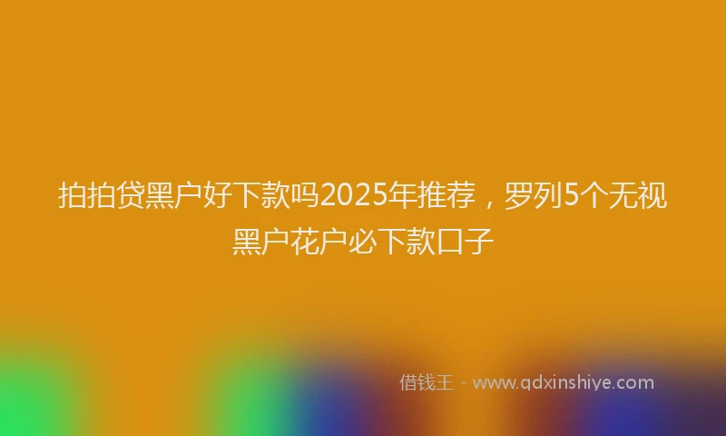 拍拍贷黑户好下款吗2025年推荐，罗列5个无视黑户花户必下款口子