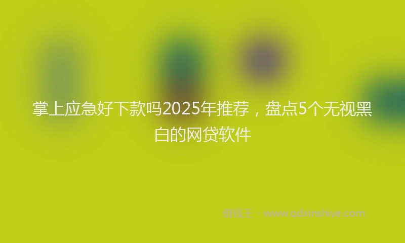掌上应急好下款吗2025年推荐，盘点5个无视黑白的网贷软件