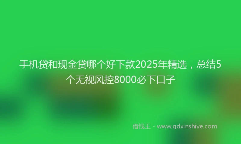 手机贷和现金贷哪个好下款2025年精选，总结5个无视风控8000必下口子