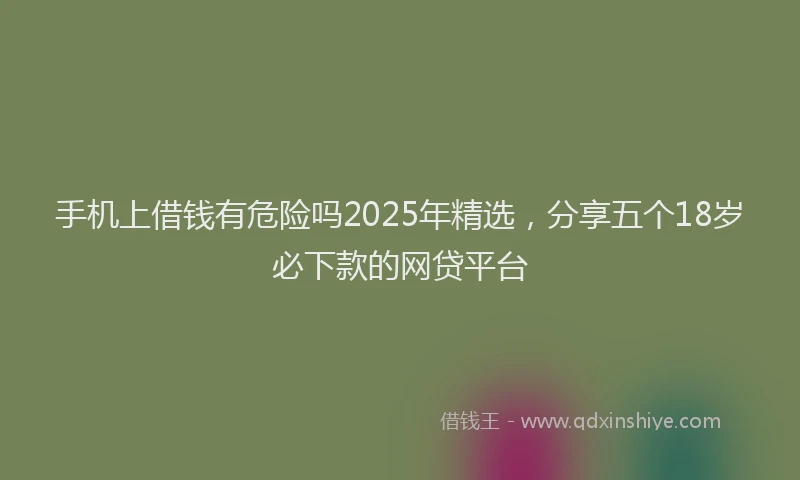 手机上借钱有危险吗2025年精选，分享五个18岁必下款的网贷平台