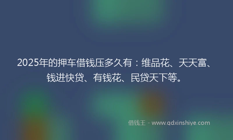 2025年的押车借钱压多久有：维品花、天天富、钱进快贷、有钱花、民贷天下等。