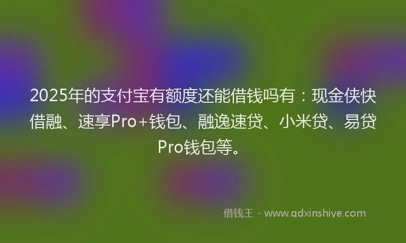 2025年的支付宝有额度还能借钱吗有：现金侠快借融、速享Pro+钱包、融逸速贷、小米贷、易贷Pro钱包等。