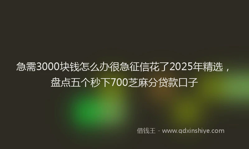 急需3000块钱怎么办很急征信花了2025年精选，盘点五个秒下700芝麻分贷款口子