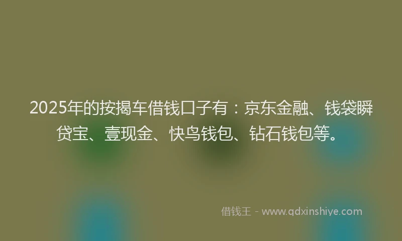 2025年的按揭车借钱口子有：京东金融、钱袋瞬贷宝、壹现金、快鸟钱包、钻石钱包等。