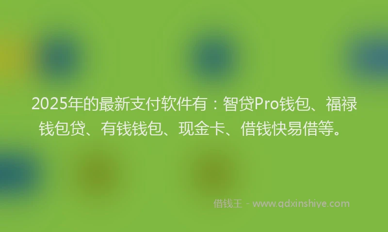 2025年的最新支付软件有：智贷Pro钱包、福禄钱包贷、有钱钱包、现金卡、借钱快易借等。