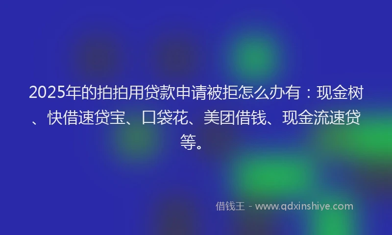 2025年的拍拍用贷款申请被拒怎么办有：现金树、快借速贷宝、口袋花、美团借钱、现金流速贷等。