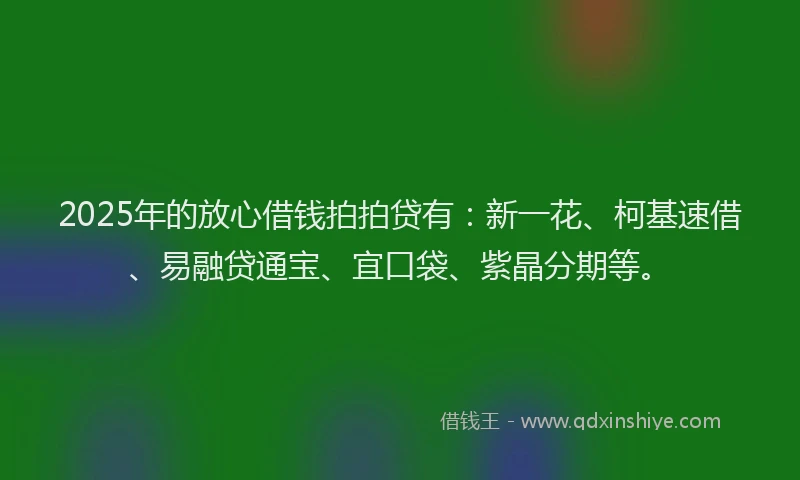 2025年的放心借钱拍拍贷有：新一花、柯基速借、易融贷通宝、宜口袋、紫晶分期等。