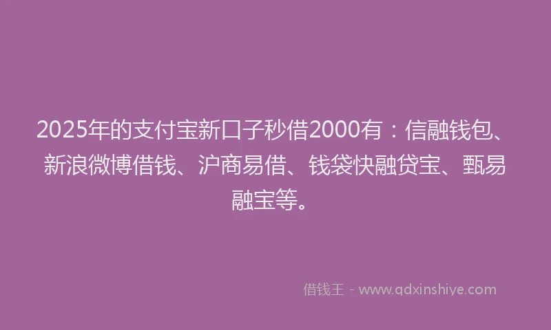2025年的支付宝新口子秒借2000有：信融钱包、新浪微博借钱、沪商易借、钱袋快融贷宝、甄易融宝等。