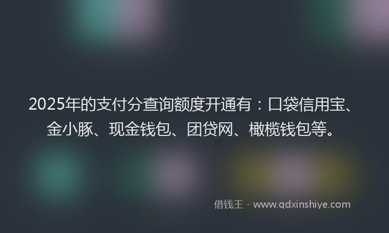 2025年的支付分查询额度开通有：口袋信用宝、金小豚、现金钱包、团贷网、橄榄钱包等。