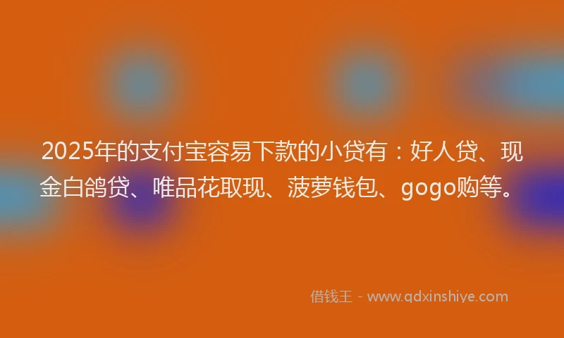 2025年的支付宝容易下款的小贷有：好人贷、现金白鸽贷、唯品花取现、菠萝钱包、gogo购等。